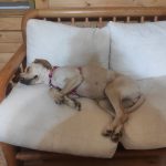 Descanso post playita